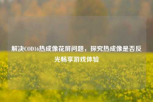 解决COD16热成像花屏问题,探究热成像是否反光畅享游戏体验