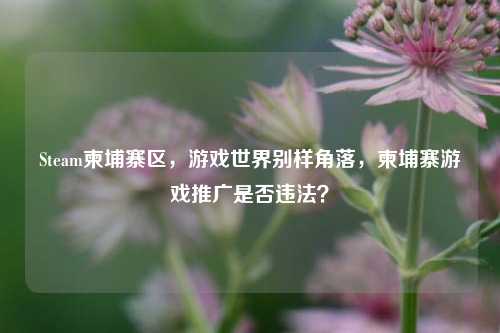 Steam柬埔寨区,游戏世界别样角落,柬埔寨游戏推广是否违法?