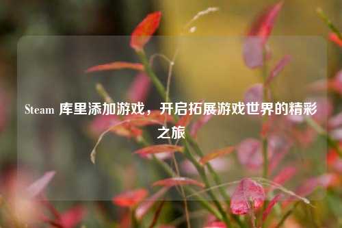 Steam 库里添加游戏,开启拓展游戏世界的精彩之旅