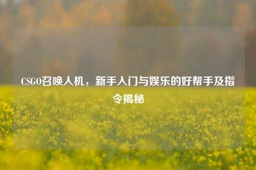 CSGO召唤人机,新手入门与娱乐的好帮手及指令揭秘