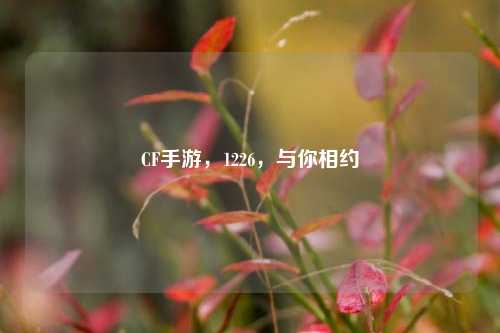 CF手游,1226,与你相约