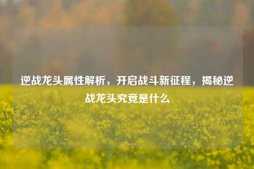 逆战龙头属性解析,开启战斗新征程,揭秘逆战龙头究竟是什么