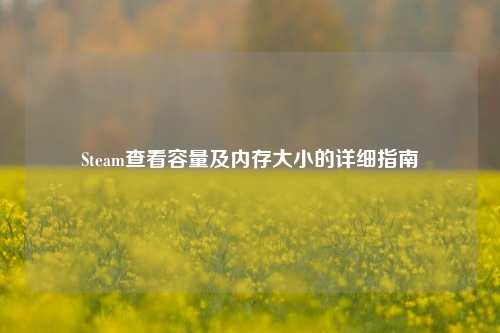 Steam查看容量及内存大小的详细指南