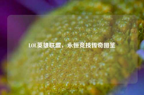 LOL英雄联盟,永恒竞技传奇图鉴