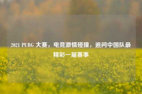 2021 PUBG 大赛，电竞激情碰撞，追问中国队最精彩一届赛事