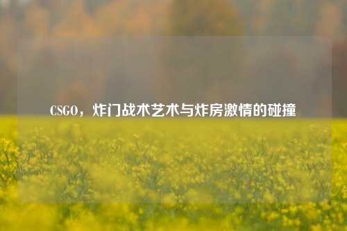 CSGO,炸门战术艺术与炸房激情的碰撞