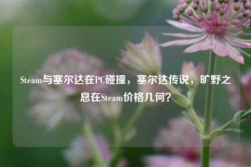 Steam与塞尔达在PC碰撞,塞尔达传说,旷野之息在Steam价格几何?
