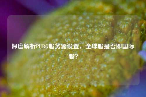 深度解析PUBG服务器设置，全球服是否即国际服？