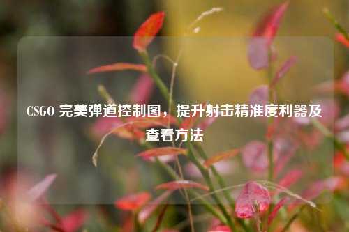 CSGO 完美弹道控制图,提升射击精准度利器及查看方法